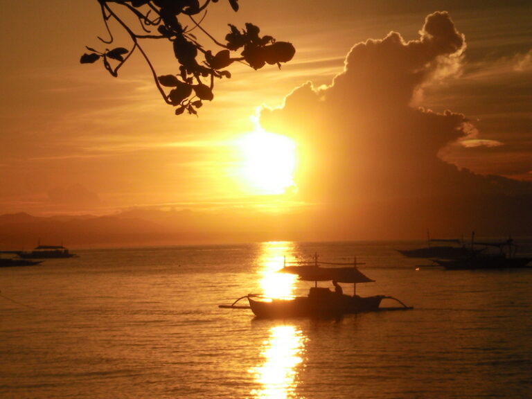 SANY0003.jpg