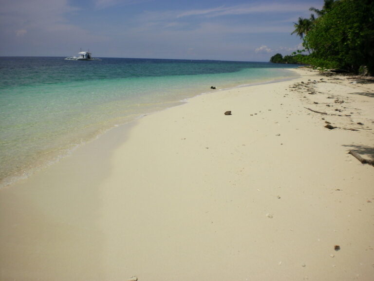 SANY0041.jpg